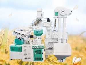 25T/D Combined Rice Mill Plant Manufacturer Supplier Wholesale Exporter Importer Buyer Trader Retailer in Zhengzhou Beijing China