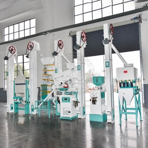 30T/D Rice Mill Plant Manufacturer Supplier Wholesale Exporter Importer Buyer Trader Retailer in Changzhou Beijing China
