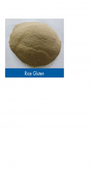 Rice Protein  for cattle feed Manufacturer Supplier Wholesale Exporter Importer Buyer Trader Retailer in New Delhi Delhi India