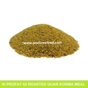 Roasted Guar Korma Meal Manufacturer Supplier Wholesale Exporter Importer Buyer Trader Retailer in Barmer Rajasthan India