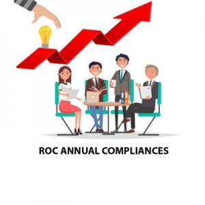 ROC Compliances Services in Delhi Delhi India