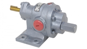 Rotary Gear Pumps Manufacturer Supplier Wholesale Exporter Importer Buyer Trader Retailer in Ahmedabad Gujarat India