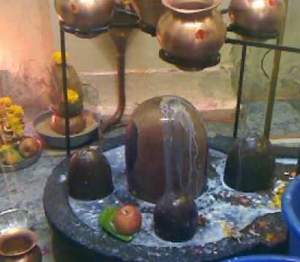 Service Provider of Rudra Abhishek Puja Ujjain Madhya Pradesh