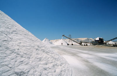 Salt &  Gypsum