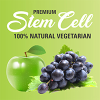 Manufacturers Exporters and Wholesale Suppliers of Stem Cell (Powder) Sunam Punjab