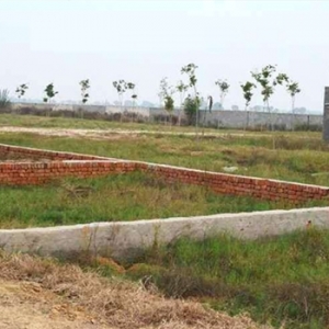 Manufacturers Exporters and Wholesale Suppliers of Plots Moradabad 