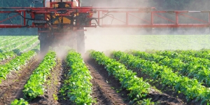 Manufacturers Exporters and Wholesale Suppliers of Pesticides Supaul Bihar