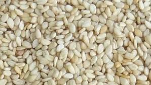 Sesame Seeds Manufacturer Supplier Wholesale Exporter Importer Buyer Trader Retailer in Rourkela Orissa India