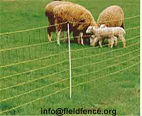 Sheep and Goat Fencing Manufacturer Supplier Wholesale Exporter Importer Buyer Trader Retailer in hengshui hebei China