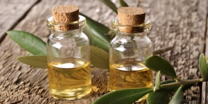 Manufacturers Exporters and Wholesale Suppliers of Tea Tree Oil Surat Gujarat