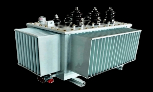 Single Phase Transformer Manufacturer Supplier Wholesale Exporter Importer Buyer Trader Retailer in Gurgaon Haryana India