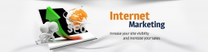 Service Provider of Search Engine Optimization India chandigarh Punjab 