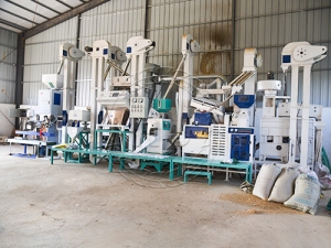 25T/D Modern Rice Mill Plant Manufacturer Supplier Wholesale Exporter Importer Buyer Trader Retailer in Zhengzhou Beijing China