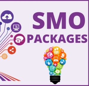 Service Provider of SMO Packages Delhi Delhi 