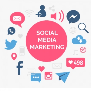 Service Provider of Social Media Business Promotion Services Delhi Delhi 