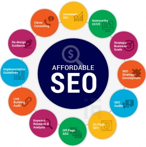 Service Provider of SEO Packages Delhi Delhi 