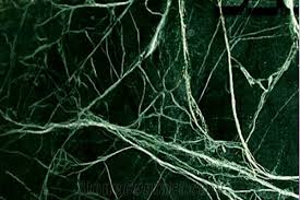 Manufacturers Exporters and Wholesale Suppliers of Spider Green Marble Patna Bihar