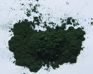 Manufacturers Exporters and Wholesale Suppliers of Medilina Spirulina Powder Nagpur Maharashtra Medilina Spirulina Powder