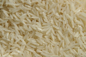 Manufacturers Exporters and Wholesale Suppliers of Sugandha Steam Ghaziabad Uttar Pradesh
