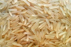 Manufacturers Exporters and Wholesale Suppliers of Sugandha Golden Ghaziabad Uttar Pradesh Sugandha Golden
