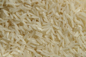 Manufacturers Exporters and Wholesale Suppliers of Sugandha Raw Ghaziabad Uttar Pradesh