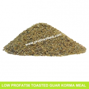 Manufacturers Exporters and Wholesale Suppliers of Toasted Guar Korma Meal Barmer Rajasthan