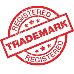 Service Provider of Trade Mark Delhi Delhi 