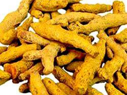 Turmeric Finger Manufacturer Supplier Wholesale Exporter Importer Buyer Trader Retailer in Coimbatore Tamil Nadu India