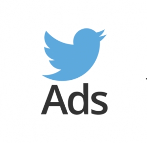 Service Provider of Twitter PPC Ads Services Delhi Delhi 