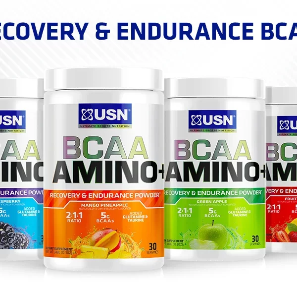 Manufacturers Exporters and Wholesale Suppliers of USN BCAA AMINO+ Ghaziabad Uttar Pradesh