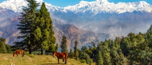 Uttarakhand Tour Services in Kota Rajasthan India