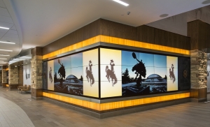 Manufacturers Exporters and Wholesale Suppliers of Video Wall Mumbai Maharashtra