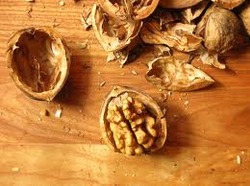 walnut shell (kernel shell walnut) Manufacturer Supplier Wholesale Exporter Importer Buyer Trader Retailer in srinagar Jammu & Kashmir India