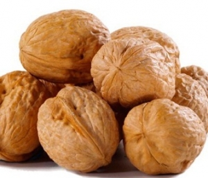 Walnuts Manufacturer Supplier Wholesale Exporter Importer Buyer Trader Retailer in Ahmedabad Gujarat India