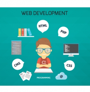 Service Provider of Website Development Training Delhi Delhi 