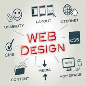 Service Provider of Website Designing Delhi Delhi