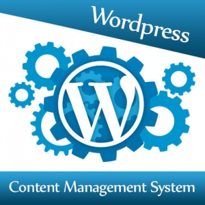 Service Provider of PHP Website Development Ludhiana Punjab PHP Website Development
