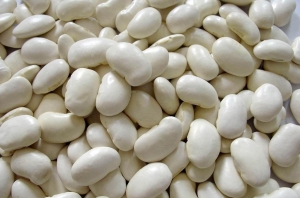 White Bean