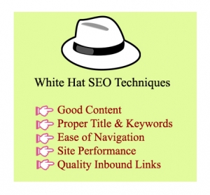 White Hat SEO Services in Delhi Delhi India