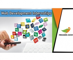Website Development Internship Services in Delhi Delhi India