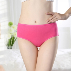 Womens Cotton Briefs Manufacturer Supplier Wholesale Exporter Importer Buyer Trader Retailer in Mumbai Maharashtra India