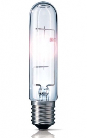 Xenon Lights Manufacturer Supplier Wholesale Exporter Importer Buyer Trader Retailer in Rajkot Gujarat India