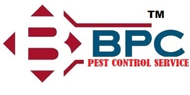 Balaji Pest Control