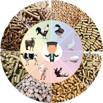 Bird Food, Poultry & Animal Food Manufacturer Supplier Wholesale Exporter Importer Buyer Trader Retailer