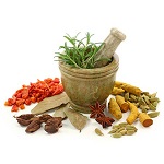 Ayurvedic & Herbal Extracts Manufacturer Supplier Wholesale Exporter Importer Buyer Trader Retailer