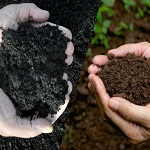 Fertilizers and Soil Additives Manufacturer Supplier Wholesale Exporter Importer Buyer Trader Retailer
