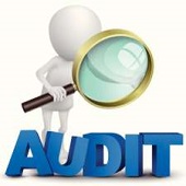 Business & Audit Services Services