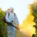 Insecticides and Pesticides Manufacturer Supplier Wholesale Exporter Importer Buyer Trader Retailer