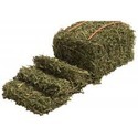 Alfalfa Hay Manufacturer Supplier Wholesale Exporter Importer Buyer Trader Retailer