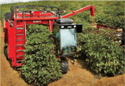 Coffee Harvester Machine Manufacturer Supplier Wholesale Exporter Importer Buyer Trader Retailer